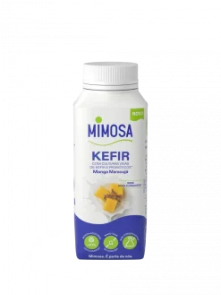 Kéfir de Manga Maracujá