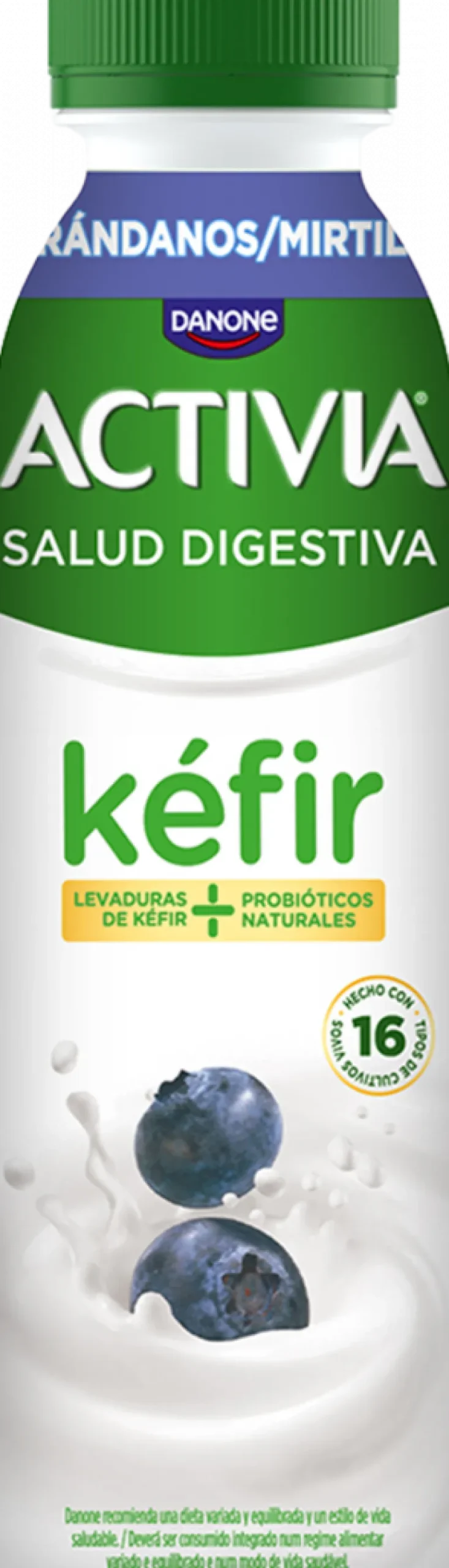 Kéfir de Mirtilos