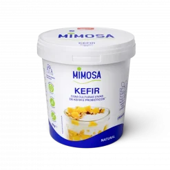 Kéfir Natural