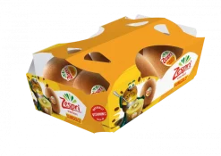 Kiwi Sungold Zespri Embalado