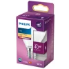 LED Chama 40W E27 Quente