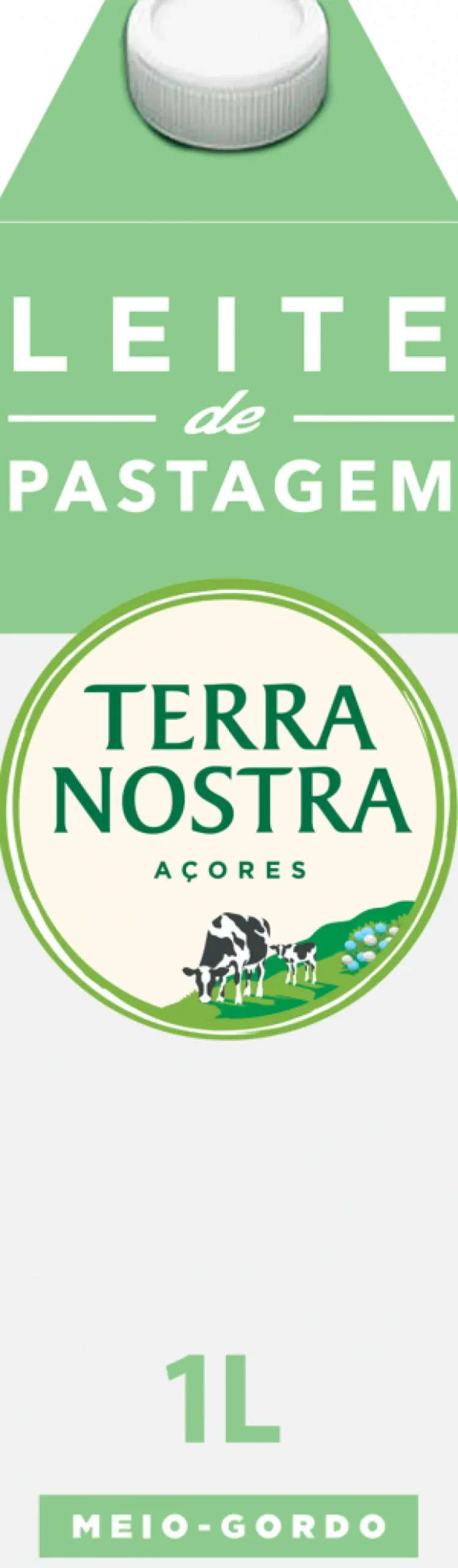Leite de Pastagem UHT Meio Gordo