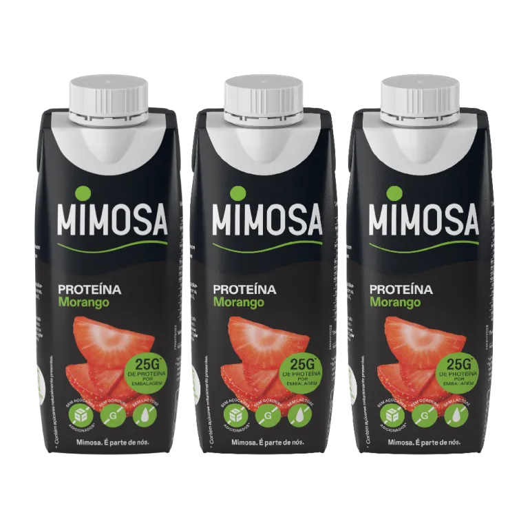 Leite Proteína Morango sem Lactose Pack 3