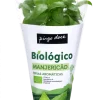 Manjericão em Vaso Biológico
