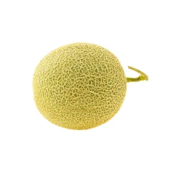 Meloa Galia