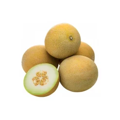 Meloa Galia