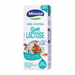 Natas Cremosas Sem Lactose