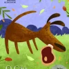 O Cão e a Sombra