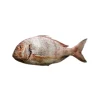 Pargo de Riscas Fresco