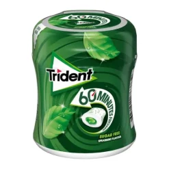 Pastilhas Elásticas 60 Minutos Spearmint