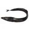Peixe Espada Preto Fresco
