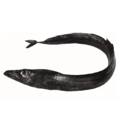 Peixe Espada Preto Fresco