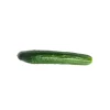 Pepino