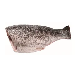 Perca do Nilo Fresca