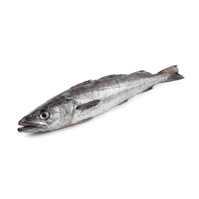 Pescada do Cabo Fresca