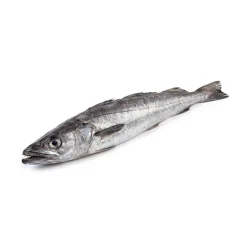 Pescada do Chile Fresca