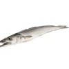 Pescada Fresca