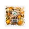Physalis