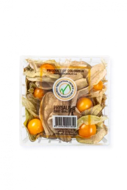Physalis