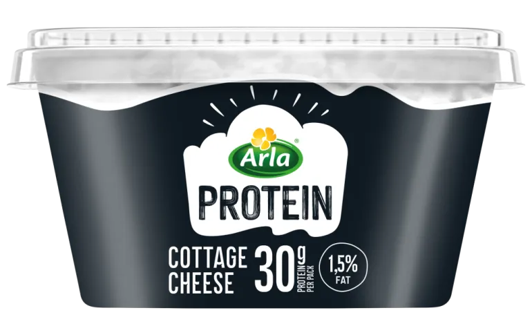 Queijo Cottage Proteína