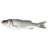 Robalo Fresco até 600g