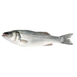 Robalo Fresco até 600g