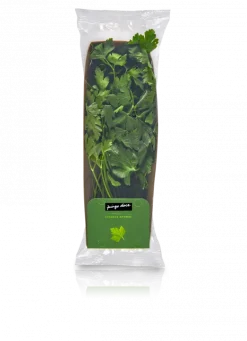Salsa Fresca