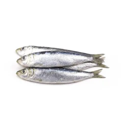 Sardinha Pequena para Fritar Congelada Embalada