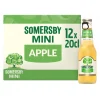 Sidra com Álcool Maçã Pack 12