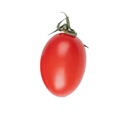Tomate Alongado 57/67