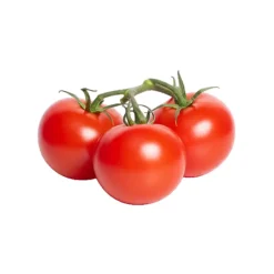 Tomate com Rama 57/67