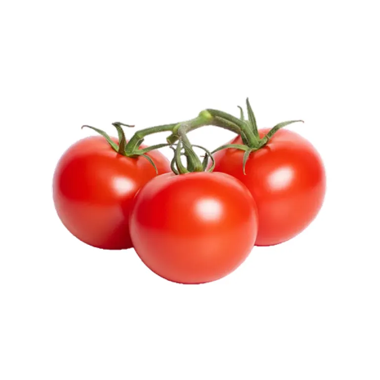 Tomate com Rama 57/67
