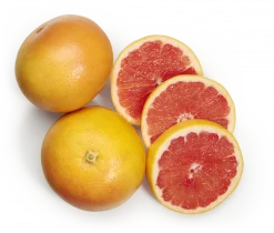 Toranja
