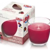 Vela Ambientadora Frutos Vermelhos