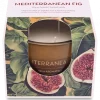 Vela Ambientadora Mediterranean Fig