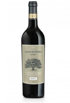 Vinho Tinto Tejo Canto do Pedro Sousão